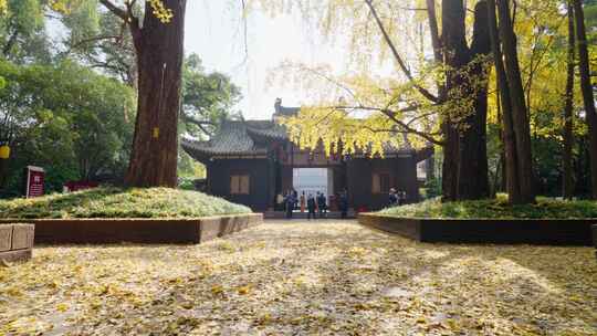 四川眉山三苏祠苏轼苏东坡故居冬季白昼实时