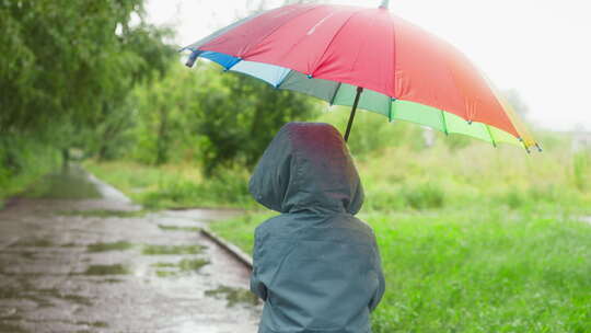 孩子带着阳伞在雨中公园漫步