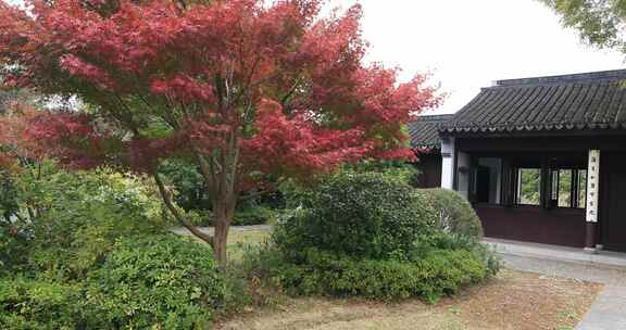 秋天典雅古风庭院美景