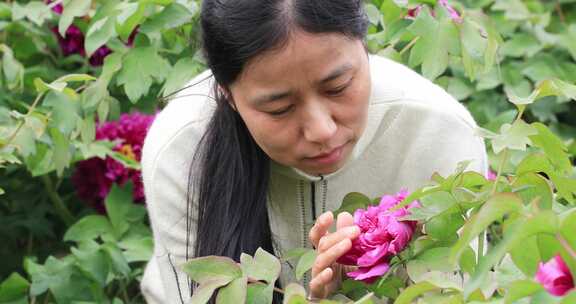 女人闻花