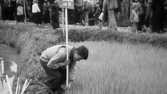 1954年越南恢复土改国民经济整顿农村组织