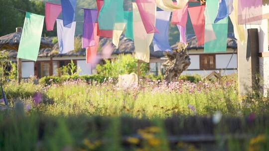 阳光下花丛里朝鲜族村庄里染布的景象