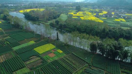 春天乡村航拍风景油菜花田和村庄