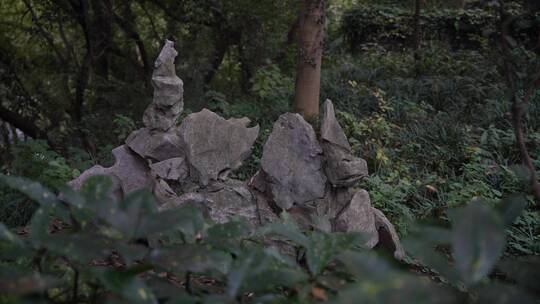 杭州宝石山景区宝云寺