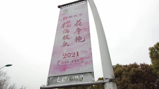 上海顾村公园樱花4K意境实拍视频素材模板下载