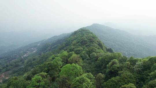 雅安蒙顶山自然风光【5k合集】