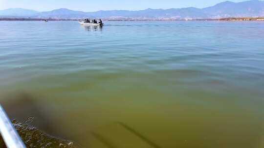 坐船出海拍鸟、大理剑湖拍鸟