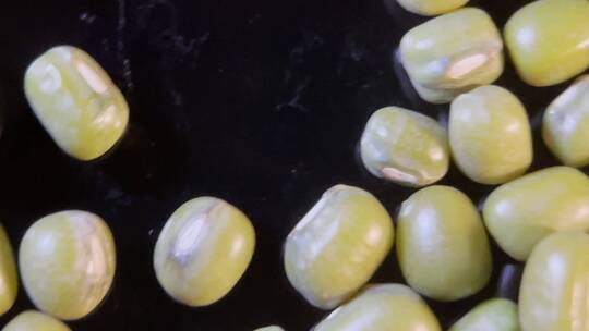 【镜头合集】 微距绿豆去暑中暑杂粮
