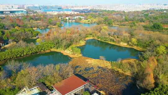 杭州西湖区西溪湿地自然风景视频素材