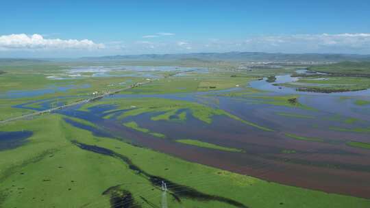 四川阿坝州若尔盖大草原湿地航拍自然风光