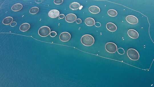 空中接近巨大的鱼类养殖场，带有网箱，用于