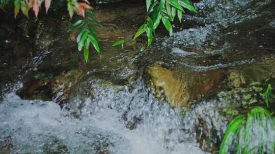 水花溪流小河