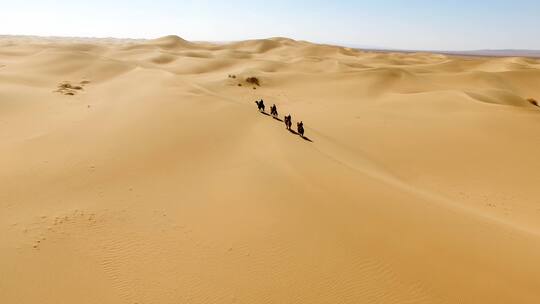 沙漠骑骆驼