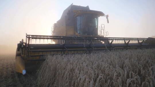 收割机在收小麦