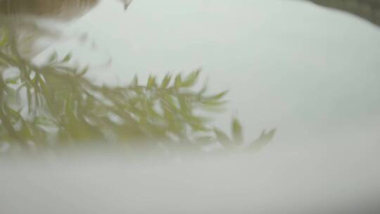 意境空镜水中倒映玉兰花旗袍女人中国风东方视频素材模板下载