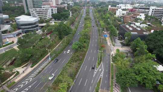 深圳深南大道-城市交通-城市车流