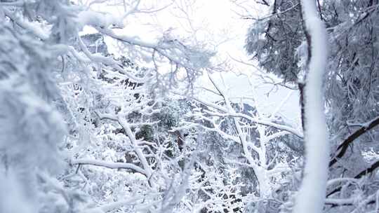 伏牛山冬季雪景雾凇