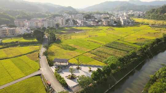 乡村航拍田野水库河流