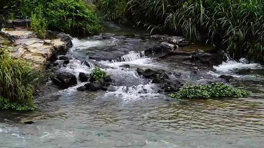 山涧流水水流瀑布视频