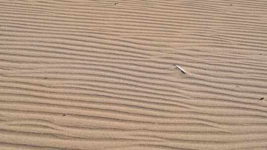沙漠沙丘表面平行沙纹线视频素材模板下载
