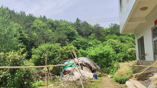 春天野外风景旅游地实拍