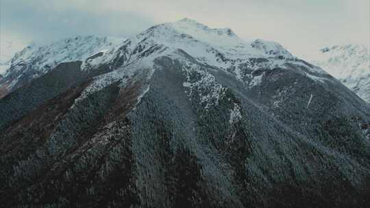 唯美冬天雪景树林雾凇航拍美景