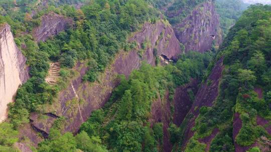 武夷山母树大红袍景区