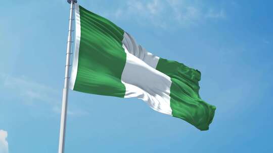 尼日利亚现实主义旗帜