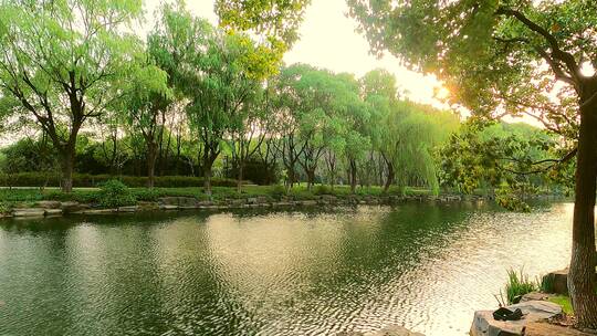 唯美逆光夕阳湖面环境