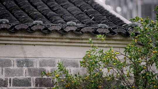 江南雨季下雨情绪意境空境素材