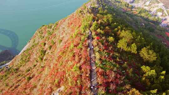 长江三峡巫峡红叶