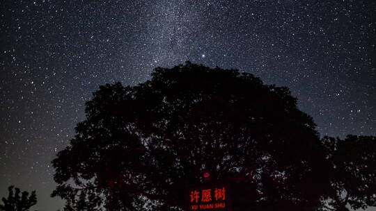 广西天龙顶许愿树璀璨星空流星雨8K50