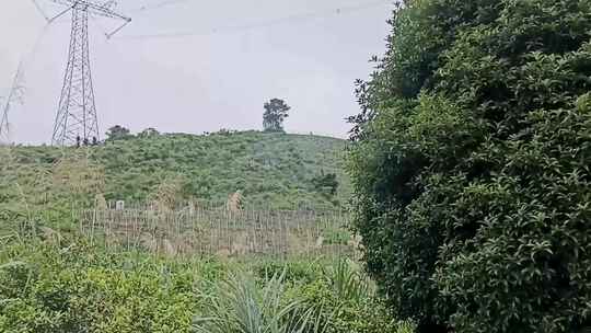 探秘森林大山区最美景点一次说走就走的旅行