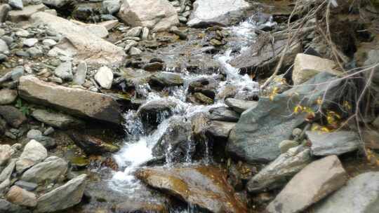 小溪流水