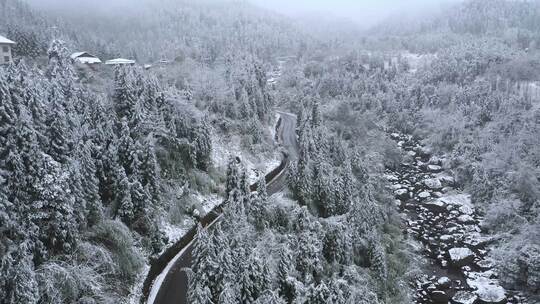 航拍冬天的森林公路美景