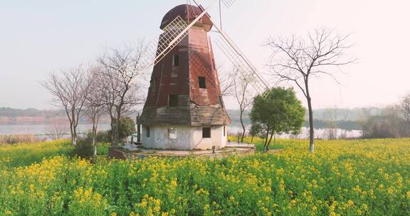 武汉东湖万国公园油菜花海