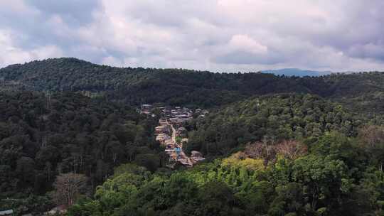 普洱景迈山茶山风光4K航拍