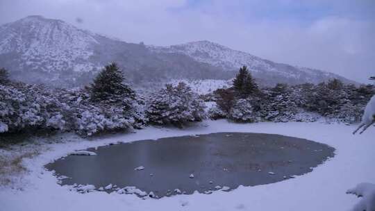 被雪覆盖的山林与结冰池塘景象