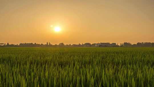 6k60p乡村田野夕阳延时摄影