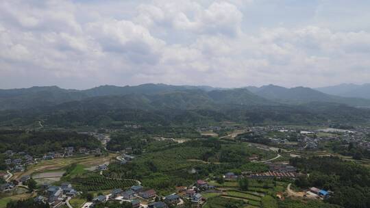 航拍乡村田园现代农业种植大棚