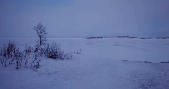 拉普兰冬季结冰的湖泊