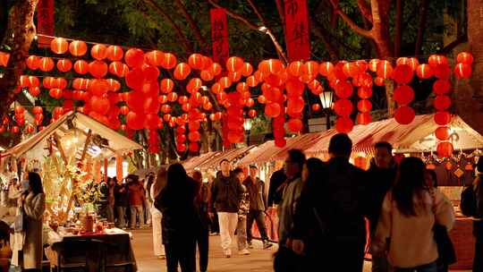 2025城市春节庙会过年年味灯笼合集