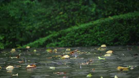 暴雨落在地面上