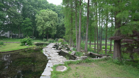 中国科学院武汉植物园睡莲展示区