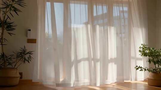 室内阳光透过窗帘洒入场景