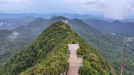 海南乐东县尖峰岭国家森林公园热带雨林