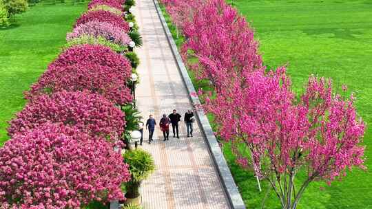 航拍宜昌夷陵广场鲜花步道