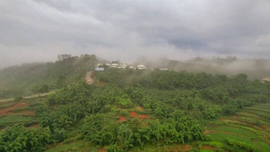 自然风景，风景如画心旷神怡，治愈系风景