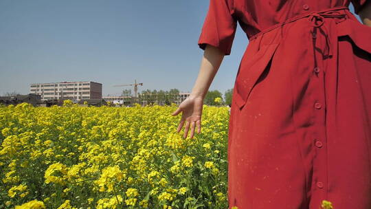 春天中国女性美女在油菜花田地中玩耍