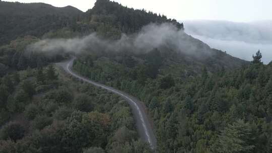 迷雾森林盘山公路